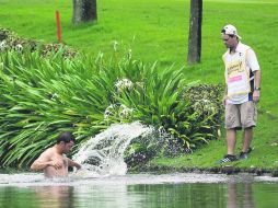 Una abeja se le posó en la nariz y, al intentar quitársela alertó al resto del enjambre que lo atacó. AP /