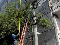 Personal de la CFE trabajó para restablecer al 100% el servicio eléctrico en la capital del país. SUN /