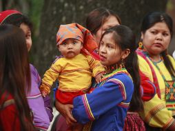 La Constitución les garantiza a los pueblos indígenas la preservación de su identidad cultural. ARCHIVO /
