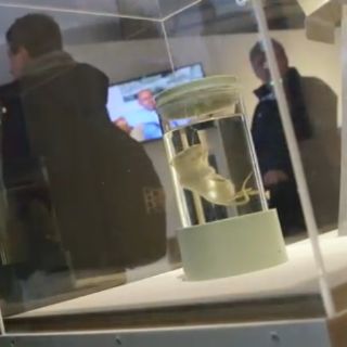 Artistas se alían con científicos para crear obras en Bio Arte