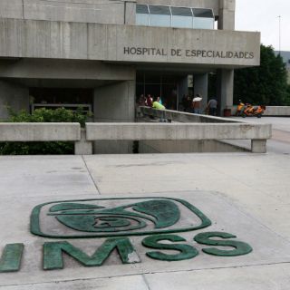 El IMSS busca aumentar trasplantes de riñón