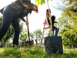 Medio Ambiente y Ecología de Tlajomulco realizará campañas intensas de reforestación con la participación de asociaciones civiles. ARCHIVO /