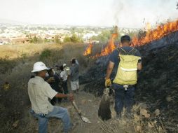 Estas vacaciones se registran 15 conflagraciones en zonas forestales que alcanzaron 106 hectáreas. ARCHIVO /