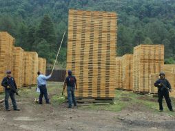 La policía estatal, en colaboración con la PGJE y la Profepa clausuran un aserradero y un astillero. TOMADA DE @Comisionadomich  /