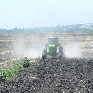 Apoyo al campo, fuera de prioridades presupuestales