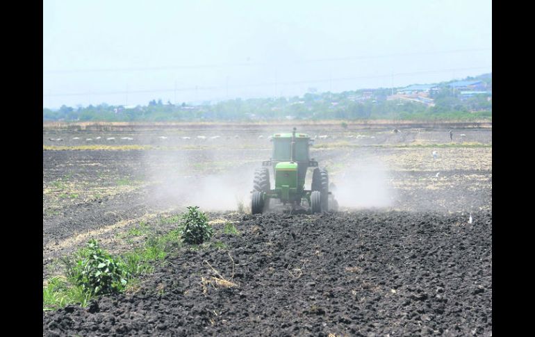 El Campo. Ha perdido productividad aceleradamente en la última década.  /
