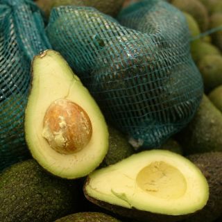 Advierten sobre alza al precio del aguacate