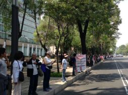 Organizadores piden en redes sociales sumarse a la causa. Foto: @brauliodica. ESPECIAL /