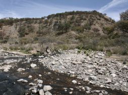 Los primeros aspirantes a conducir el Organismo Público Descentralizado del Bosque La Primavera quedaron a deber. ARCHIVO /