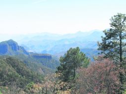 Al natural. Bella panorámica de la Sierra Madre desde El Espinazo del Diablo.  /