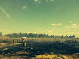 La columna de humo alcanzó varios metros, lo que llamó la atención de los vecinos.  /