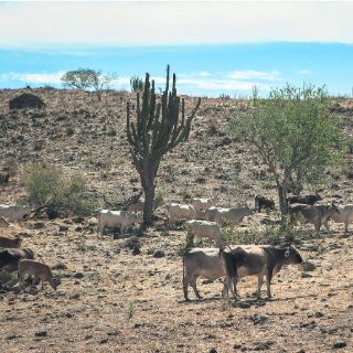 Motivan a saber sobre el cambio climático
