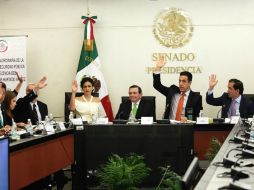 Jorge Carlos Hurtado Valdez, durante su comparecencia ante la Comisión de Seguridad Pública de la Cámara Alta. SUN /