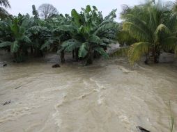 Las autoridades informan que la fuerte lluvia y viento afectó los municipios de Córdoba, Atoyac, Cuitláhuac, Yanga y Paso del Macho. ARCHIVO /