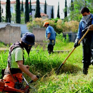 La STPS da sus previsiones de crecimiento del empleo