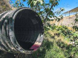 Visible. Uno de los ductos provenientes del rastro, en donde se percibe el agua de desecho mezclada con sangre.  /