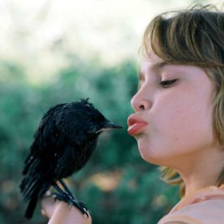 ''Kauwboy'', un filme para mover corazones