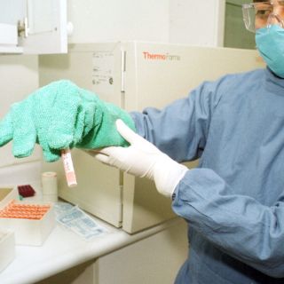 Anuncian importante avance en la reprogramación de células