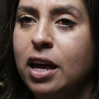 Diputados piden aplicar sanciones penales a Elisa Ayón