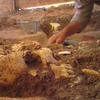 Excavan Tumba de Tiro en Zacatecas
