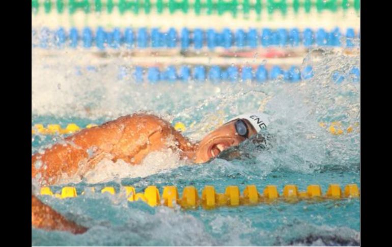 'Ahora mi responsabilidad sera tomar las riendas de la natación, reorientarla, porque la natación tocó fondo', afirmó Marx. ESPECIAL /