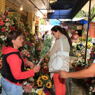 Venta de flores por Internet aumentará por 10 de mayo