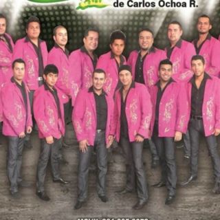 Banda Caña Verde alista presentación en Guadalajara