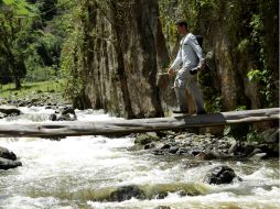 Los visitantes podrán apreciar a placer la fauna y flora del Cañón de Combeima. EFE /