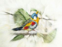 El común denominador de todos los lienzos son los paisajes: las piedras, aves e insectos  /