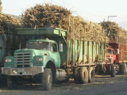 Defensa legal para azucareros ARCHIVO /