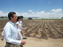 Peña encabeza la inauguración de primera etapa de modernización del Distrito de Riego 001. TOMADA DE @PresidenciaMX  /