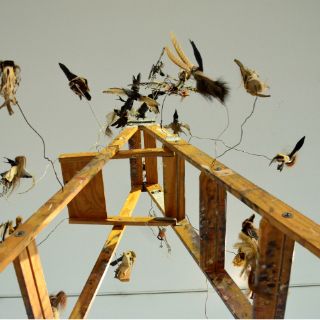 La atopía del mundo se encuentra en el MAZ