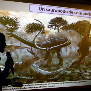 Hallan en Argentina dinosaurio único de su especie en Sudamérica