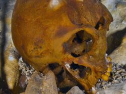 A través de la información genética se puede establecer un vínculo entre aquellos primitivos pobladores y los nativos americanos. EFE /