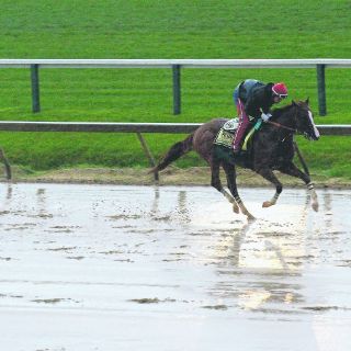 ''California Chrome'' sale por la segunda joya