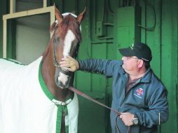 California Chrome ha ganado seis carreras en fila, incluidas las dos primeras joyas de la Triple Corona (Preakness, Derby de Kentucky). AP /