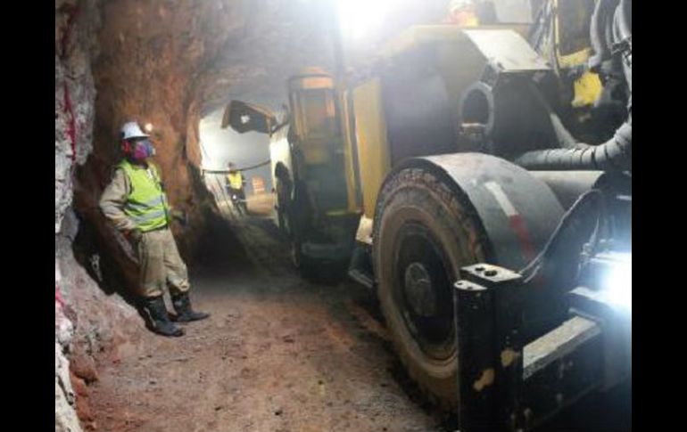 El SGM trabaja para identificar los blancos de explotación minera. ARACELI LÓPEZ. ESPECIAL /