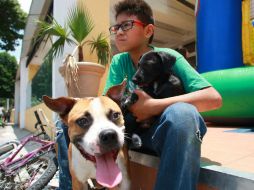 La mascotas fortalece significativamente el desarrollo de los niños. ARCHIVO /