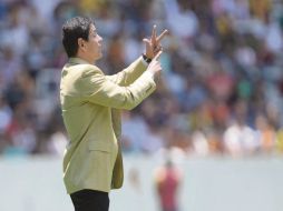 El técnico de los Leones Negros, Alfonso Sosa, considera necesarios entre 12 y 15 jugadores como refuerzos para el Apertura 2014. MEXSPORT /