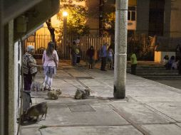 Los habitantes de la Ciudad de México volvieron a sentir un temblor de madrugada. ARCHIVO /