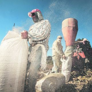 Aumento de gasto público no incentiva la economía