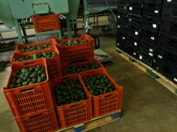 Las exportaciones totales de mercancías presentaron un ascenso mensual de 1.89%. ARCHIVO /