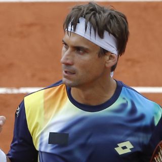 David Ferrer vence en Roland Garros