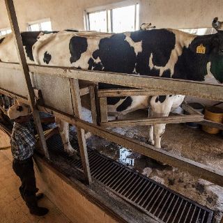 El DIF Jalisco adeuda 10 MDP a empresa lechera