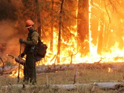 En lo que va del año se han registrado cerca del doble del promedio de incendios de los últimos cinco años. ARCHIVO /