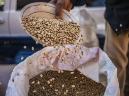 El incremento de capital foráneo se debe al aumento de demanda interna y los altos precios de los productos primarios de exportación. ARCHIVO /