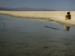 Cabo Pulmo abarca una área protegida de siete mil 111 hectáreas. EFE /