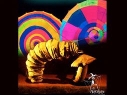 La obra plantea la metamorfosis de una larva para referirse a los cambios naturales que viven los seres vivos. TWITTER: @Planeart3. ESPECIAL /