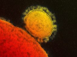 Para el nuevo coronavirus no existe ninguna medicina o vacuna. ARCHIVO /