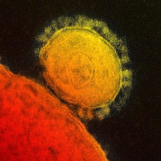 Reportan seis muertos por MERS en Jordania